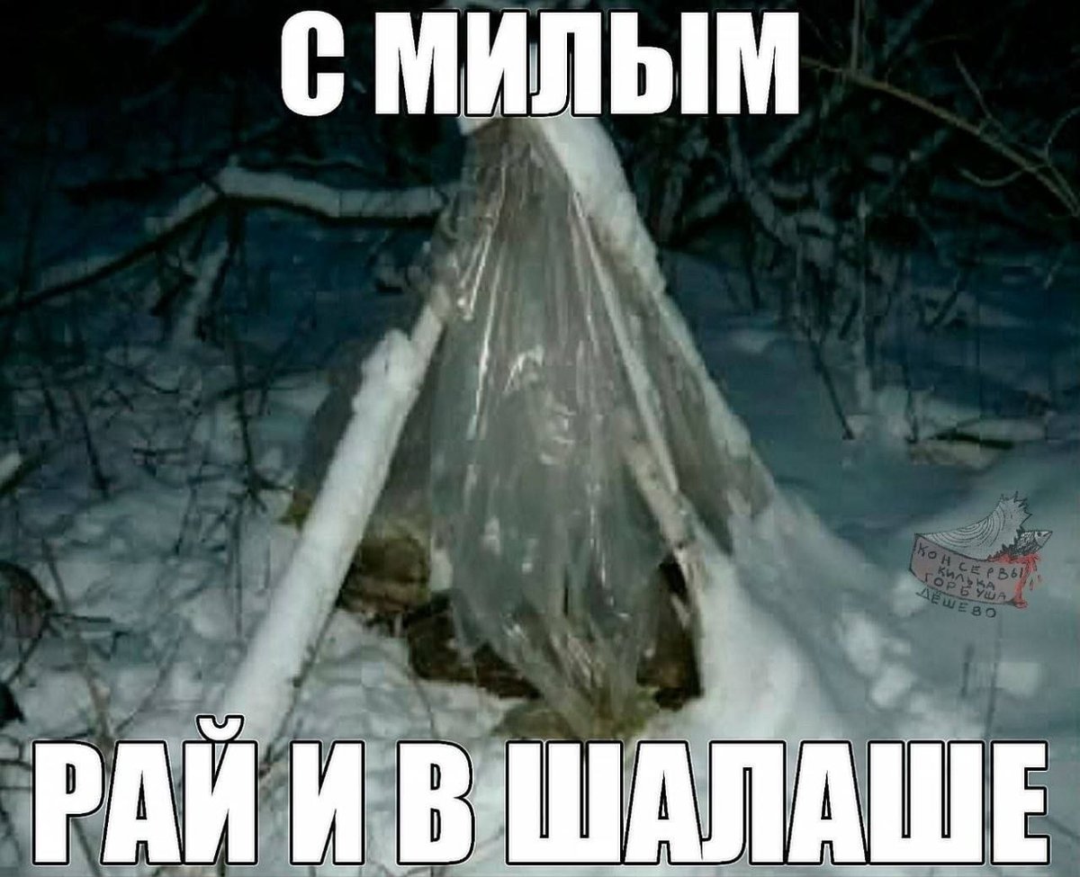 имемориал го мир Я больше не буду вести себя как объебаный укурок буд… — Nobody_Loves_Me · Стрекоза