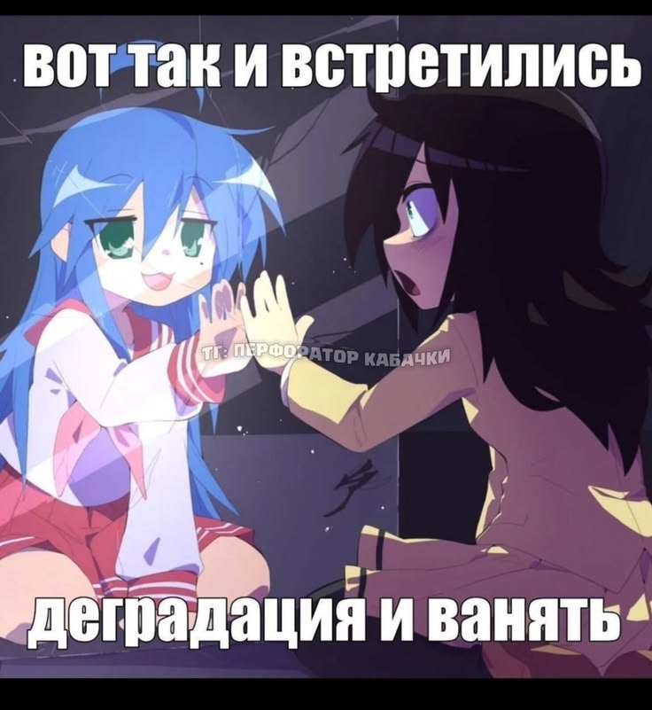 впн вымер, любимая Мапле заходит в сеть редко в стрекозу и мне некому… — Hakka · Стрекоза