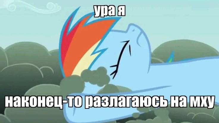 #Мемы #MLP #pony #jojolala — 🦄 My Little Pony  |  Фан-клуб 💖 · Стрекоза