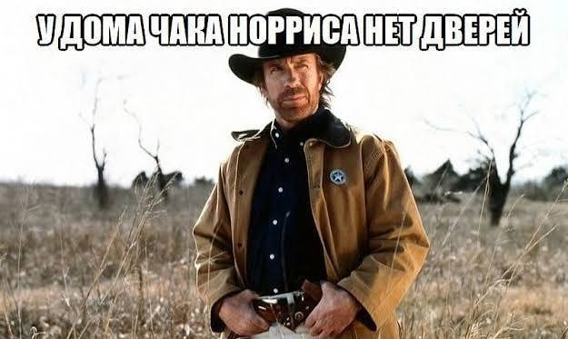 мне очень нравится пост тайфуна давний про мемы про чака норриса без… — Alisa_Uzhakova · Стрекоза