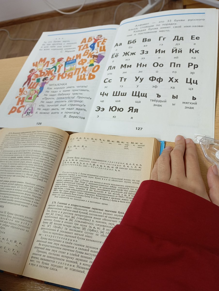 тупо что мы проходим в колледже, хахаха — Solnishko · Стрекоза