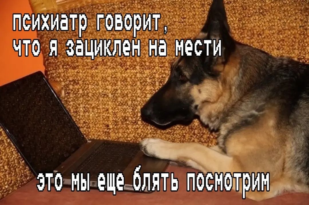 Бля такой день прикольный сегодня, что я забыла что завтра выходной и… — Govnonalopate · Стрекоза