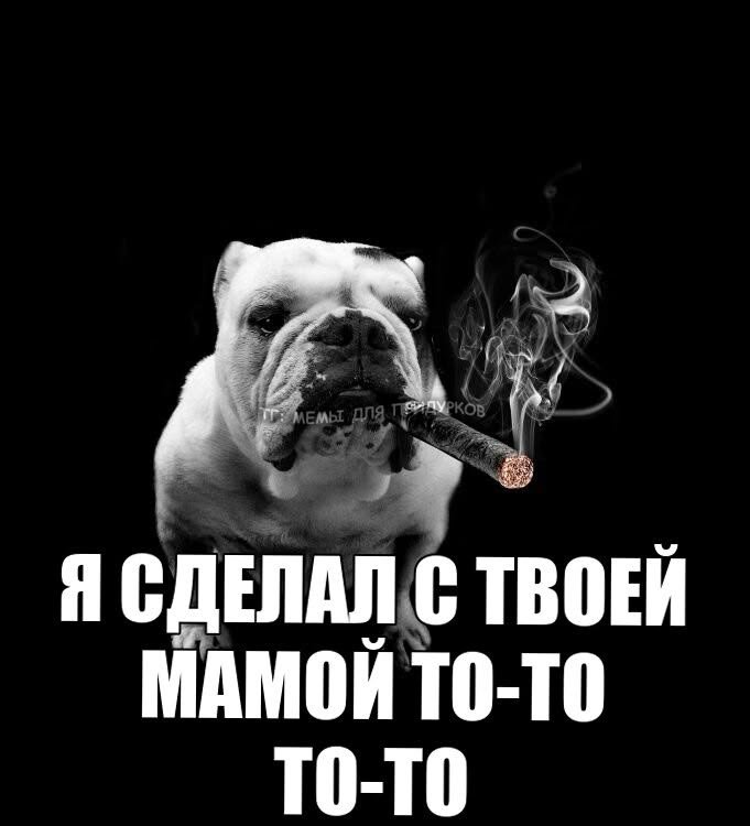 твоя мама что то кому то сделала кста — NE_2FTA · Стрекоза