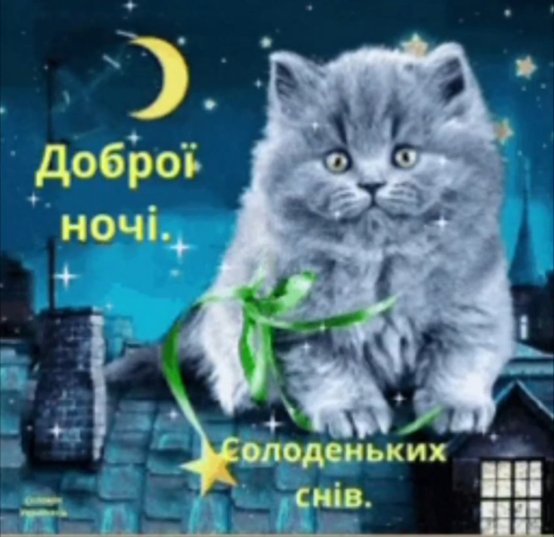 Ладно, я спать. — Drombi · Стрекоза