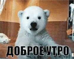 добрае утра !!! \(^ヮ^)/ — MinecraftSuperProHacker2011 · Стрекоза