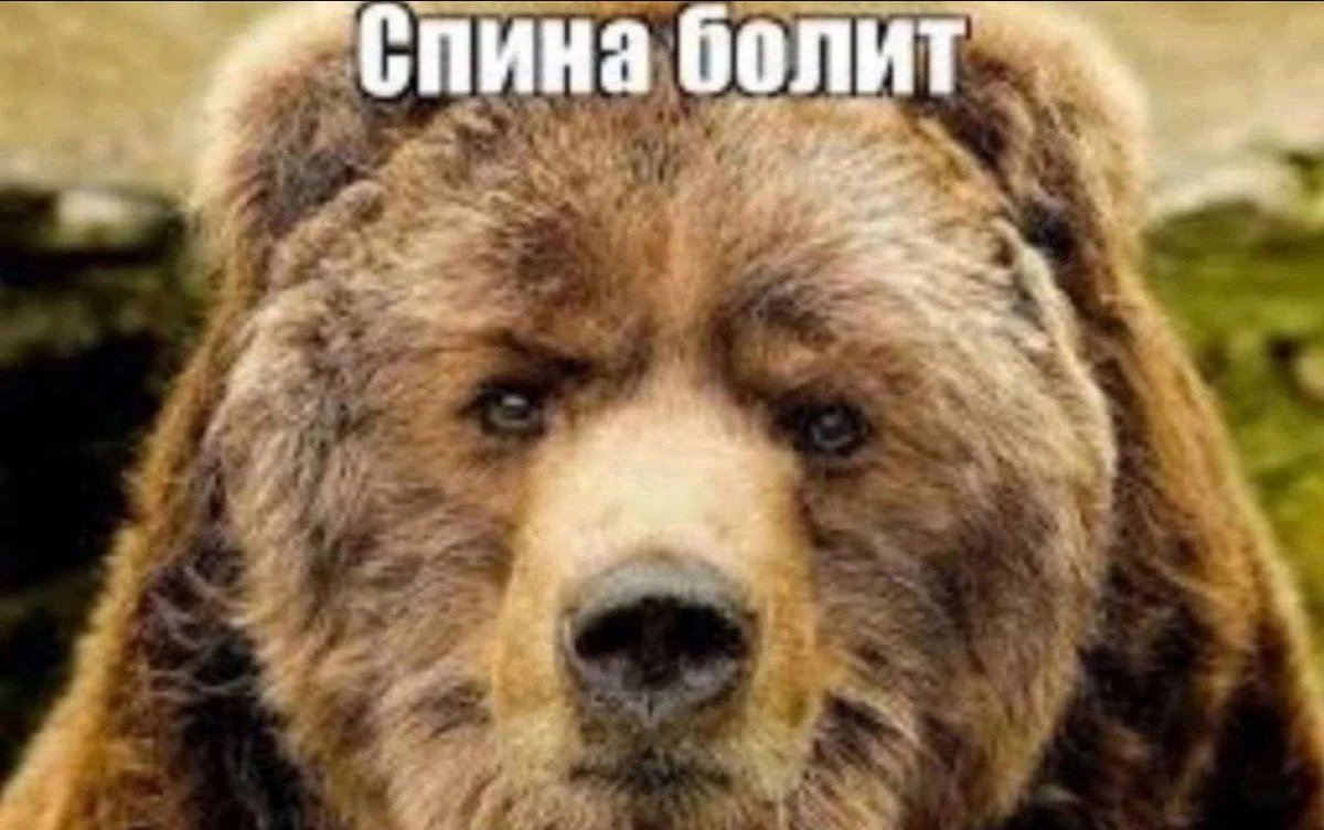 я забыл высказать слово, привет все! — MoDeRuPsEnI_lol · Стрекоза