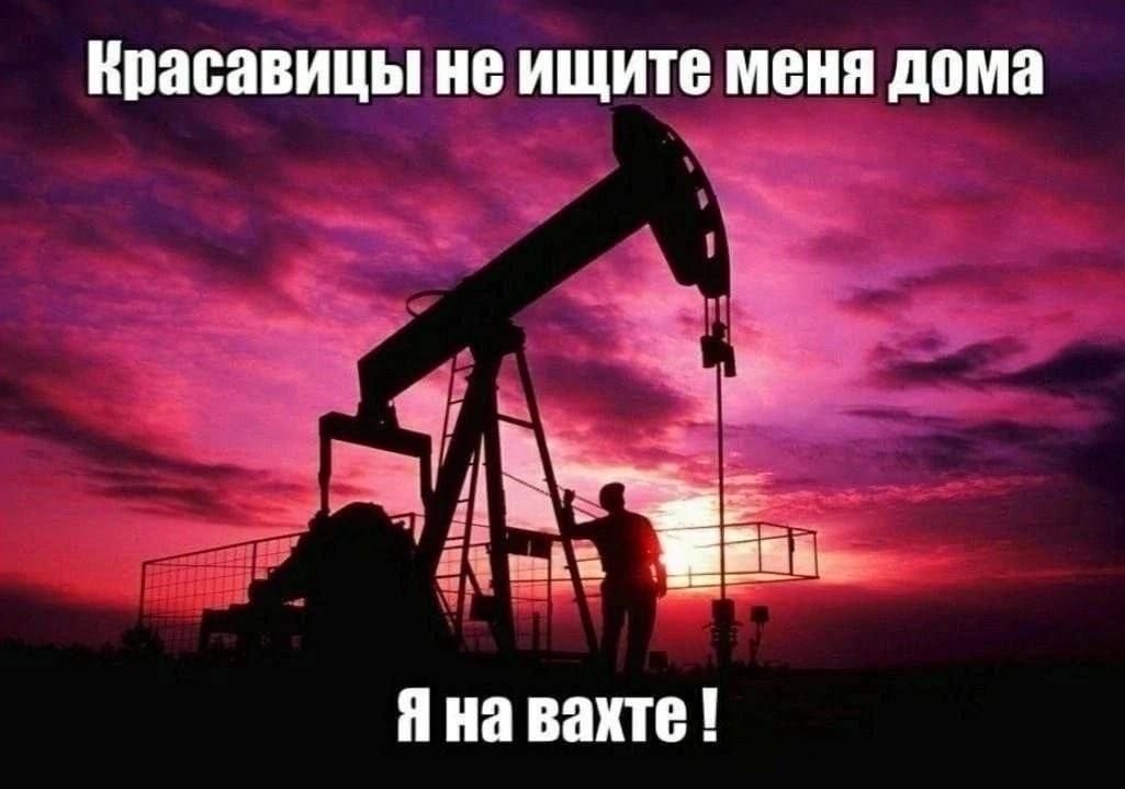 КАК МНЕ ХОЧЕТСЯ ОТВЕТИТЬ ЖИРНЫМ САМОСВАЛАМ, КОТОРЫЕ ПИШУТ МНЕ В ДАЙВИ… — ffillwag · Стрекоза