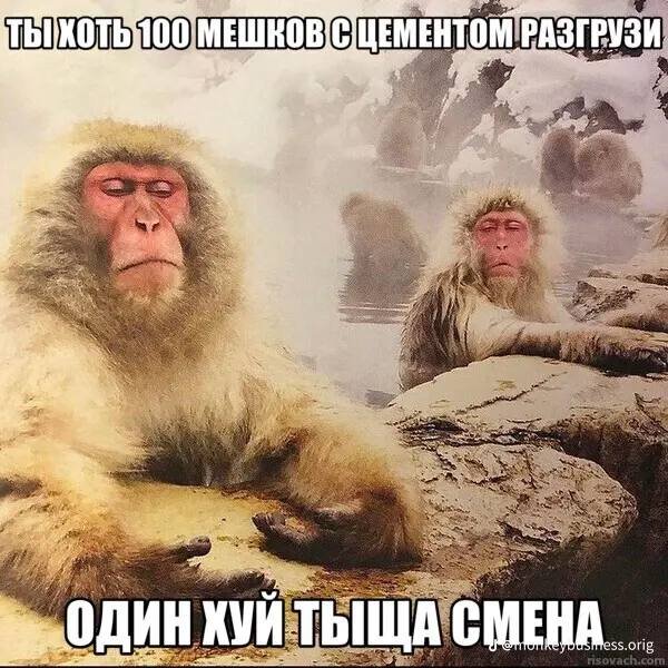 no pain no gain — ouma_tokita · Стрекоза