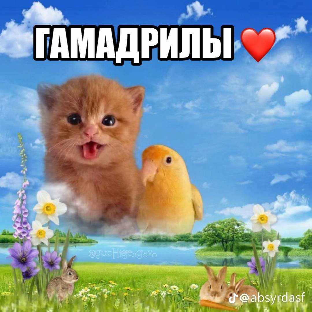 me and who? — ouma_tokita · Стрекоза