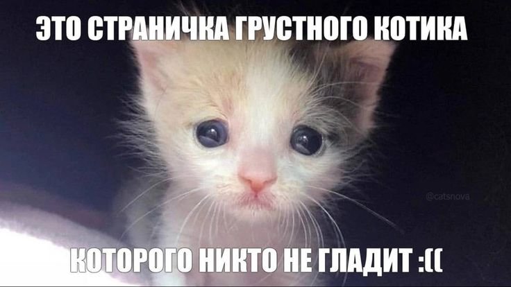 у меня температура я всех ненавижуумритенафигяМНЕ БОЛИТ ГОЛОВААААААА — p0lka · Стрекоза