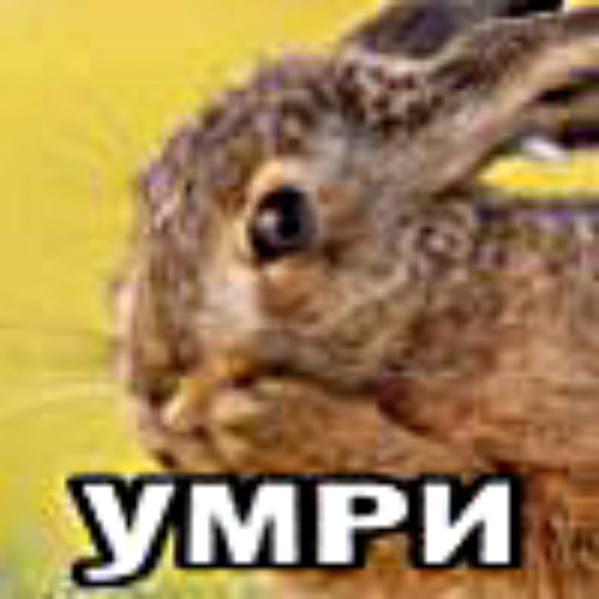 Умри ໒꒰∩° ^ °∩꒱১˚٭ ೃ࿔₊• ⊹ — Zhyzha · Стрекоза