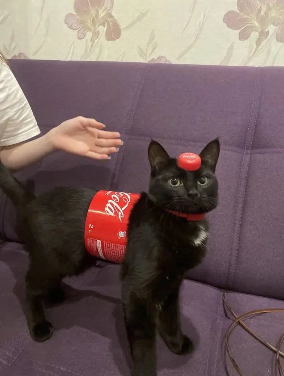 Котьик... Вы чтьо кокаколовое? — UltraChpoker · Стрекоза