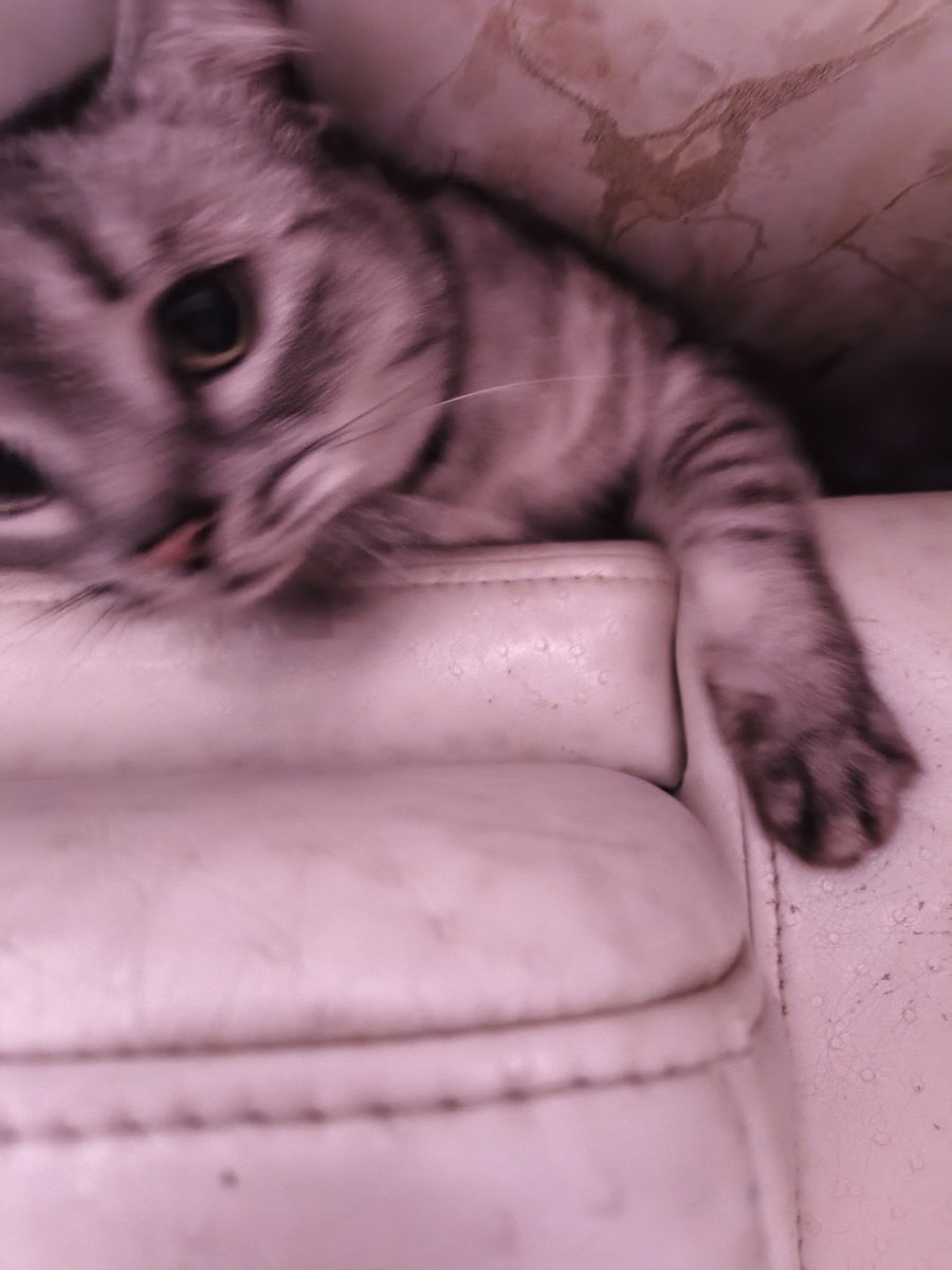 Котьик, вдиван... можно? — UltraChpoker · Стрекоза