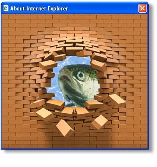 А разве the mister fish в internet. вход разрешен? — Мемы про котов (по ржать) · Стрекоза