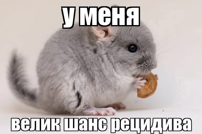Есть ли у вас любимые объекты SCP из Ру филиала? и Если да то какие и… — PUCHURAPUCHURAPUCHURA · Стрекоза