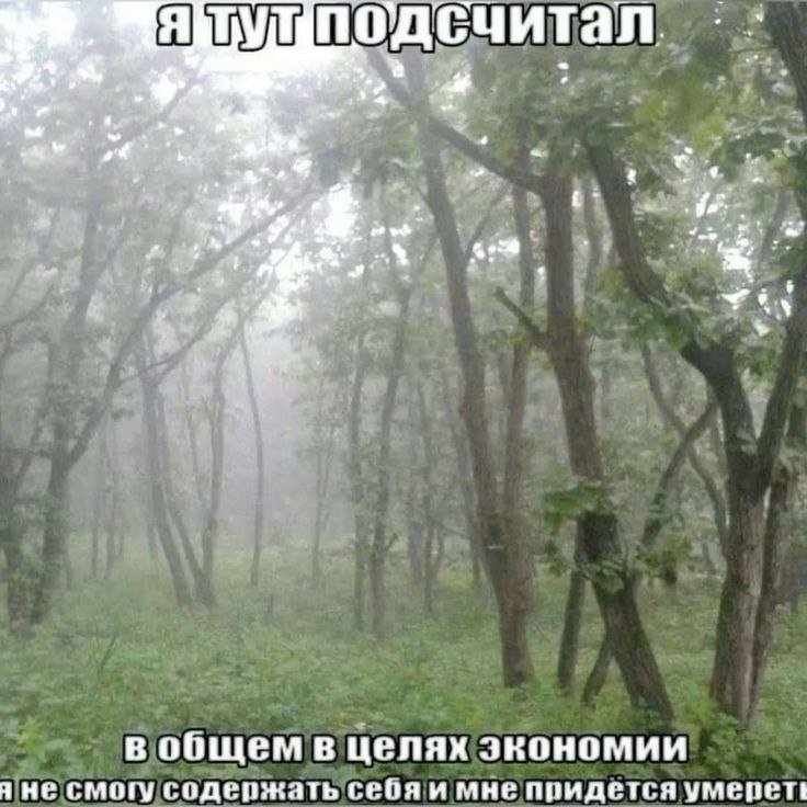 Мне че та кажется я никуда сегодня из дома не выйду, хоть пиво и все.… — Govnonalopate · Стрекоза