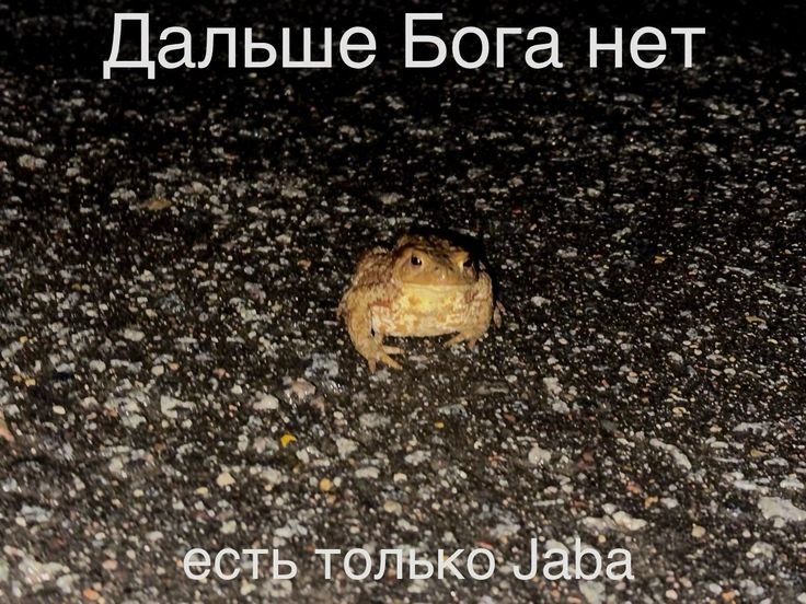 здрасьте теперь я тут завела болото — hlebnoe_boloto · Стрекоза