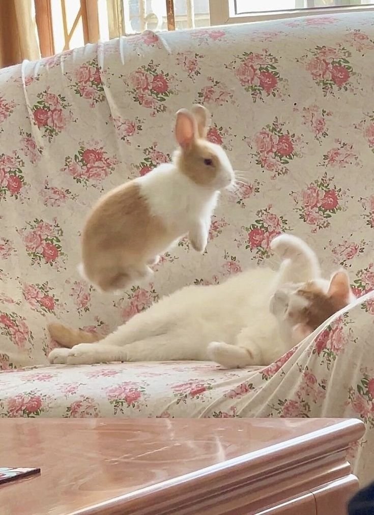 Иногда нам просто нужен кто-то рядом для простого тыг-дыг — 💞Ми-ми-мишности💞 · Стрекоза