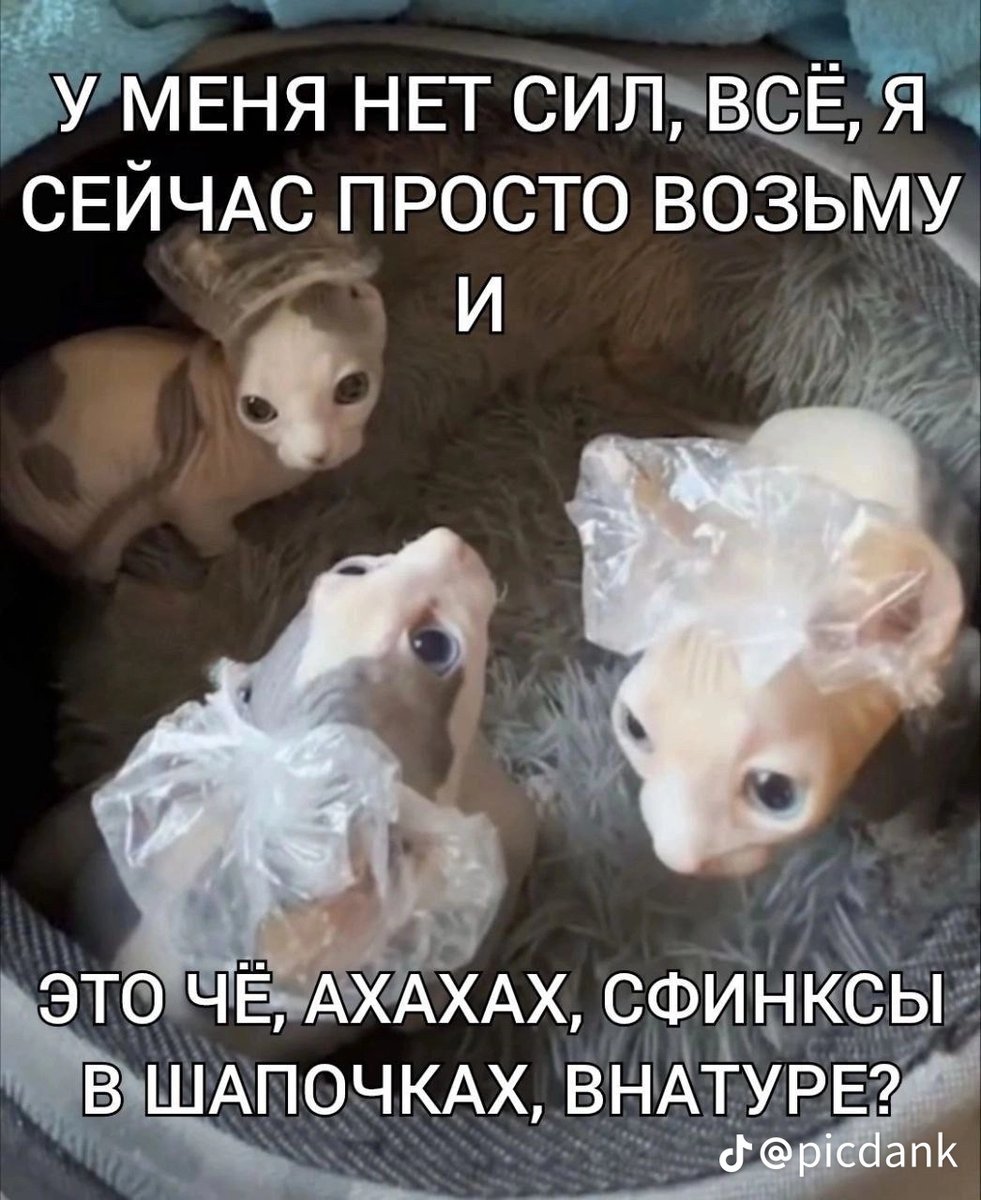 Я вернулся запущу радио наконец-то! — Pizkagriz228 · Стрекоза