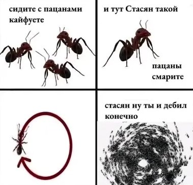 Кто тоже по жизни стасян савьте лосяру — semen · Стрекоза