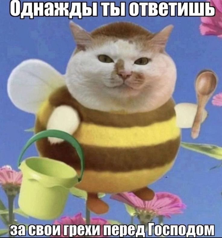 Знайте, муравьи ебанные трутни без крыльев, в отличие от пчел, они ум… — Oklahoma_Mixer · Стрекоза