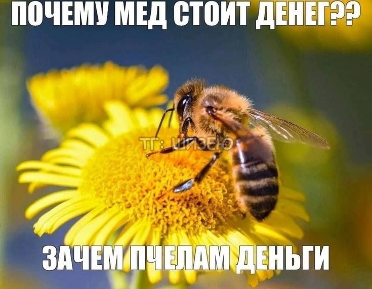 Нам нужна только власть — Oklahoma_Mixer · Стрекоза