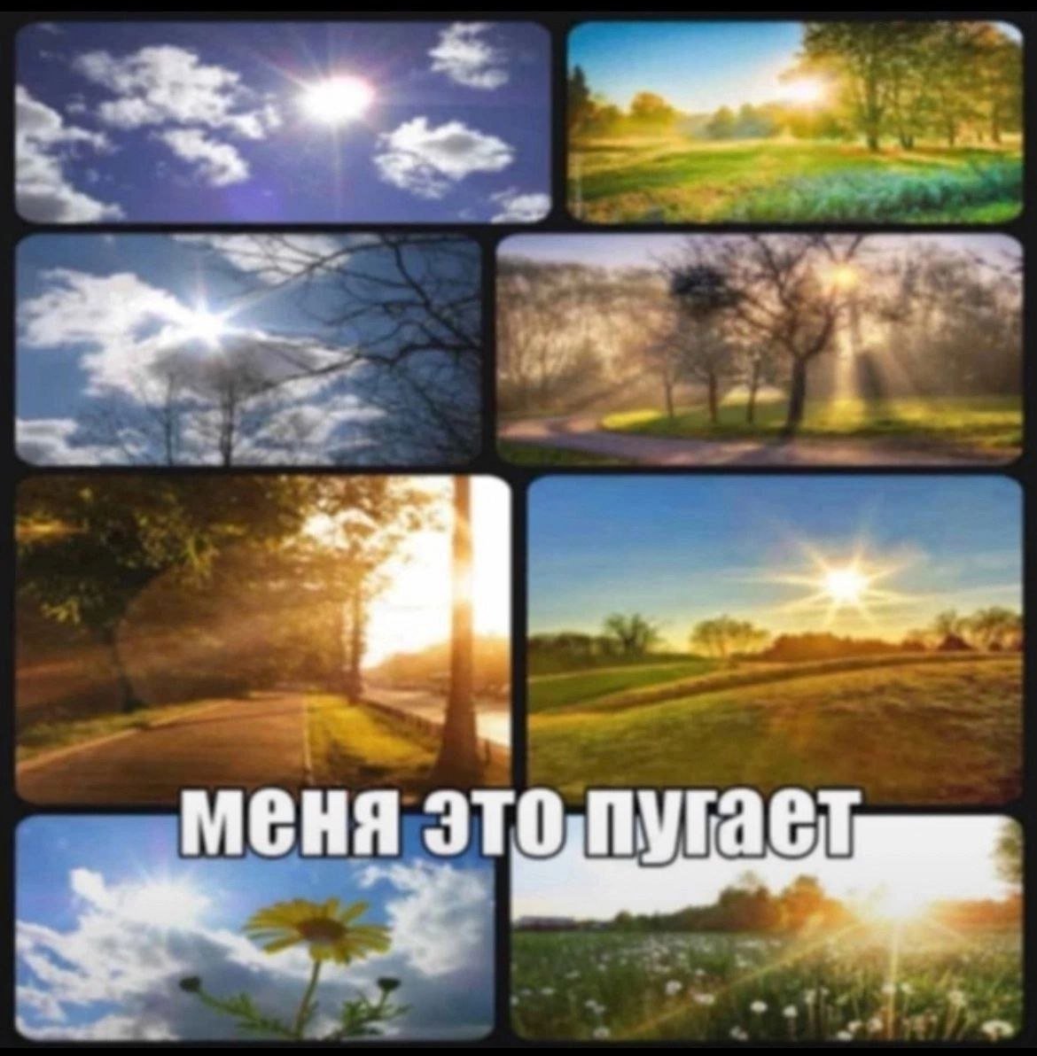 КСЬАТИ Я ЗАКАЗАЛА ФУТБОЛКУ КОТОРУЮ УЖЕ ПОЛГОДА ХОЧУ КУПИТЬ мне озон б… — Govnonalopate · Стрекоза
