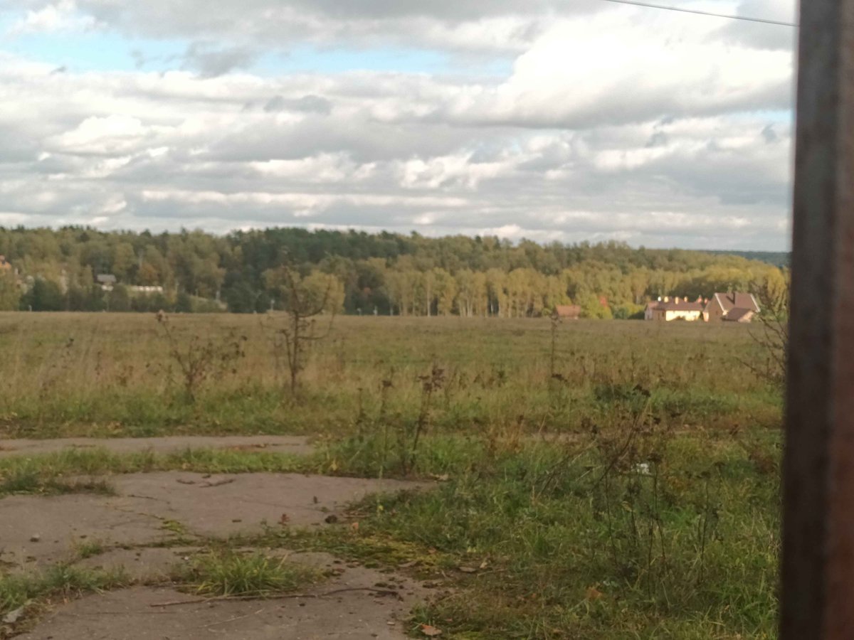 Жалкие попытки в интересные фото — matangowanger · Стрекоза