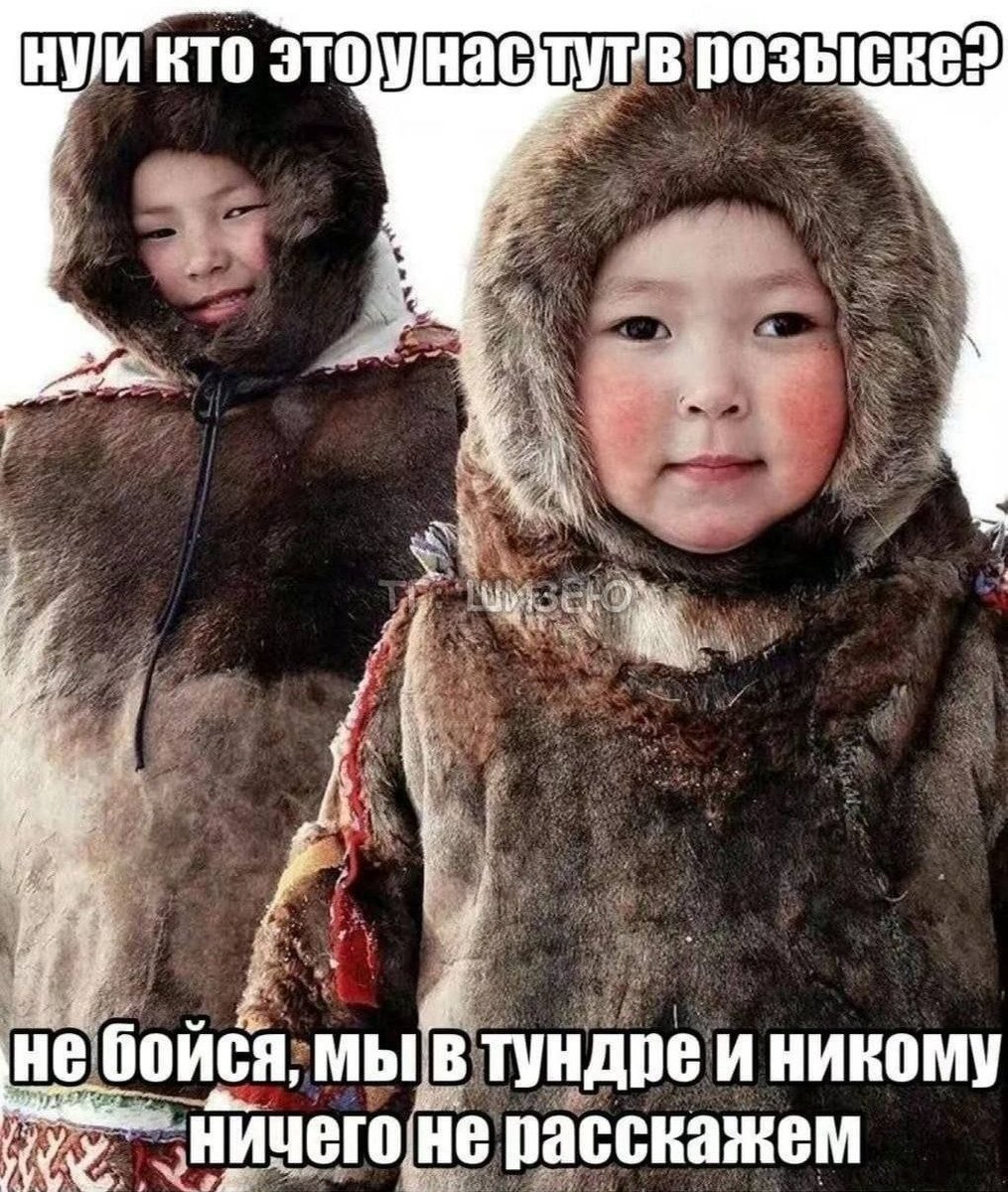 Пауки Супер класс, кто не верит, тот пусть едет на Донбас — AdminSuper · Стрекоза