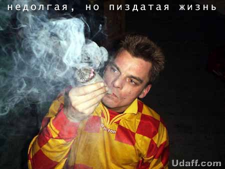 неа я канеш лоукей конченый долбаёб но в целом бля да забить бы хуй н… — Qvk4JI_420 · Стрекоза