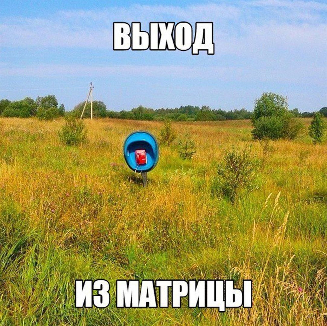 ну вы там давайте, эт самое... не задержуйтесь — TR4N3_906 · Стрекоза