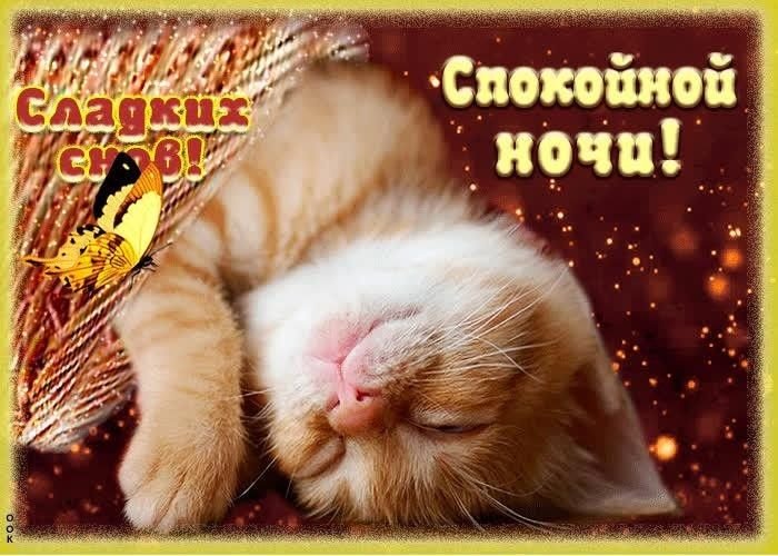 я навернае спат, всем добрых снов !!! ٩(๑˃‌ᴗ˂‌๑)۶ — MinecraftSuperProHacker2011 · Стрекоза