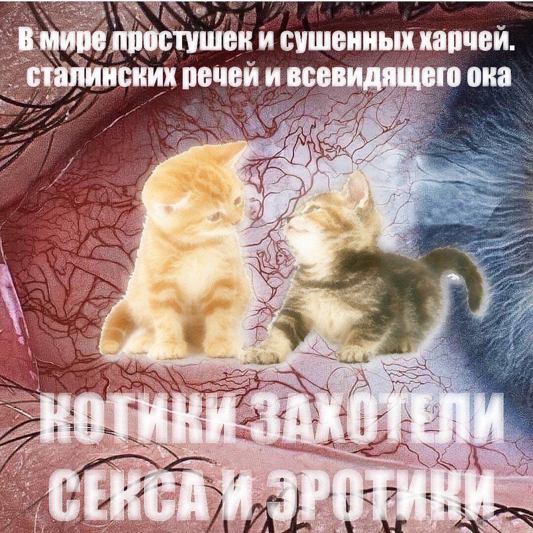 Живём мы в страшное времецо. Вот посмотрите фото-прибаутку, забаву по… — Sosilka · Стрекоза