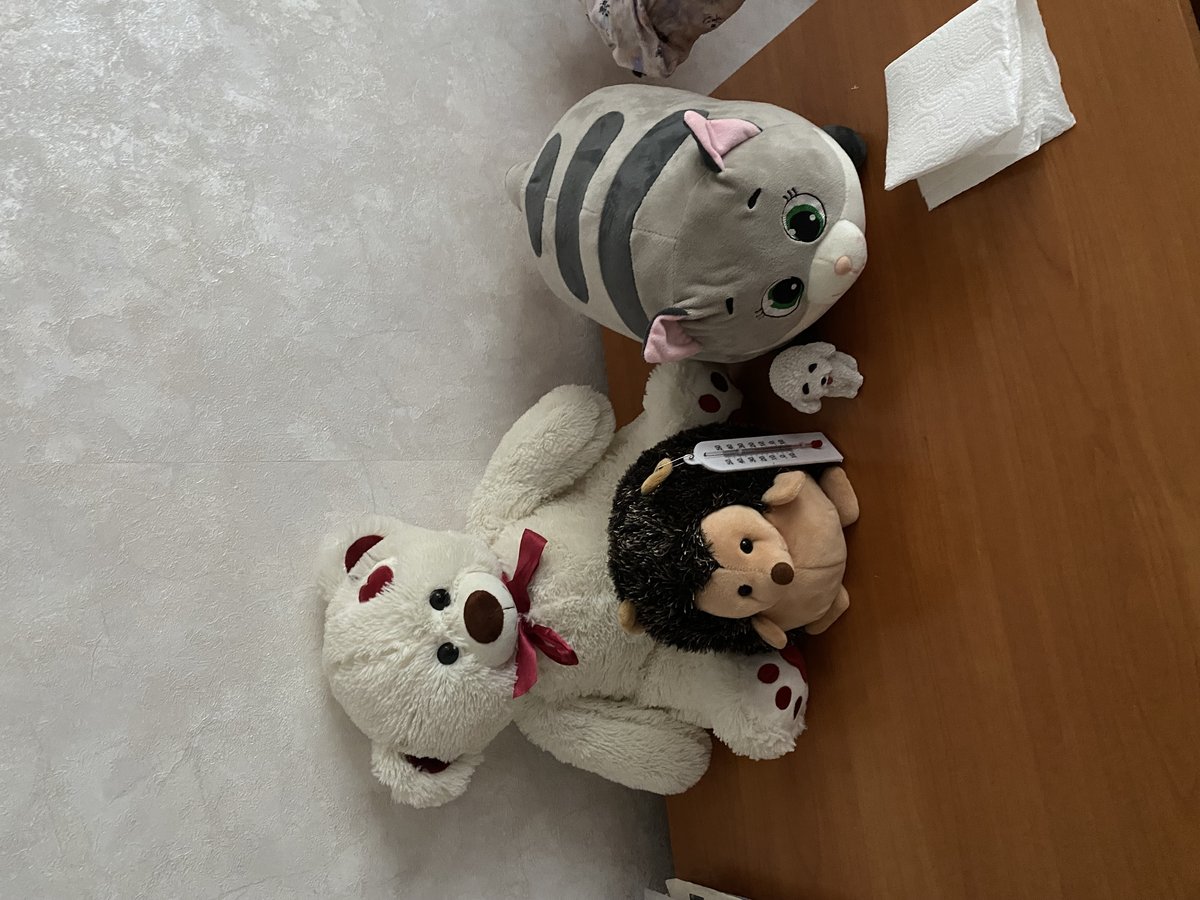 мне сегодня приснилось, что имемориал мне чесала голову, а у меня отт… — ffillwag · Стрекоза