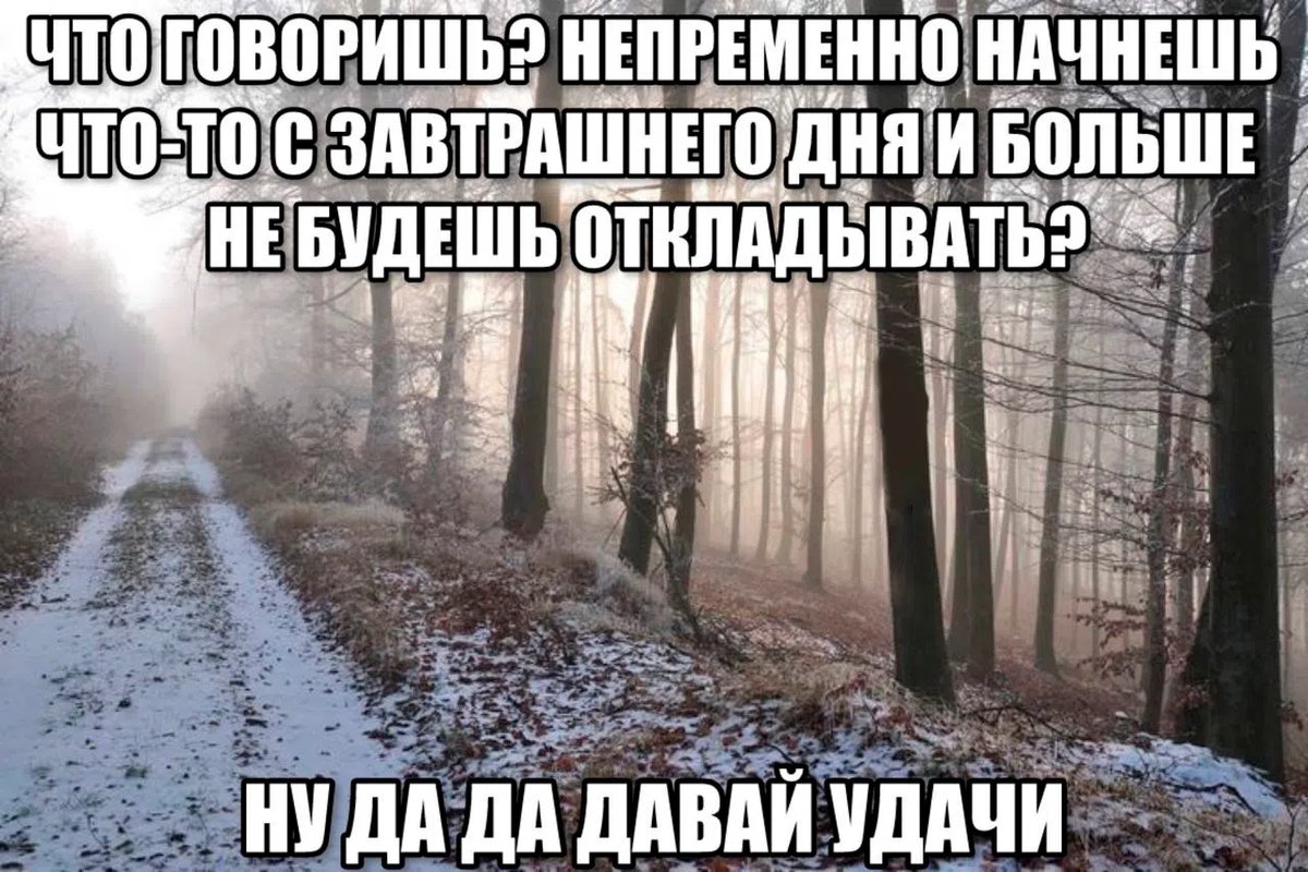 с завтрашнего дня начну... ладно, не, мне уже лень — Werfa · Стрекоза