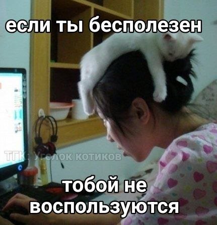 Сегодня мне повезло вернуться домой из колледжа ещё к полудню. Сначал… — Dantaris · Стрекоза
