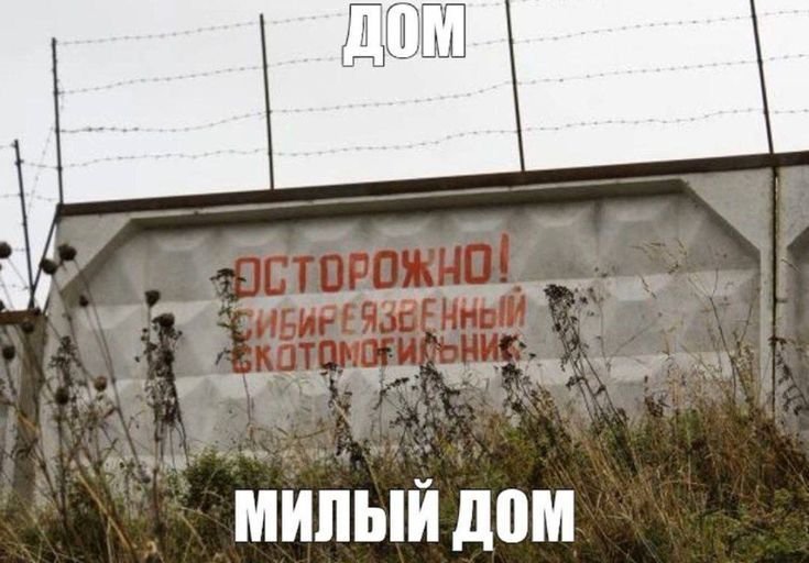 гулять по ебеням круто. особенно по жд путям заросшим травой по колен… — Veenuo · Стрекоза