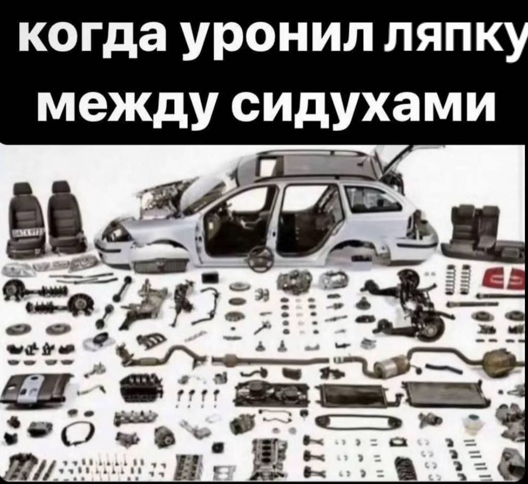 ято лальше — madk1d · Стрекоза