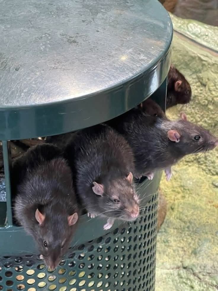 Короч, потом вас там всех пролайкаю и т д, ща пока сил ваще чёт нету.… — DeltaDi · Стрекоза