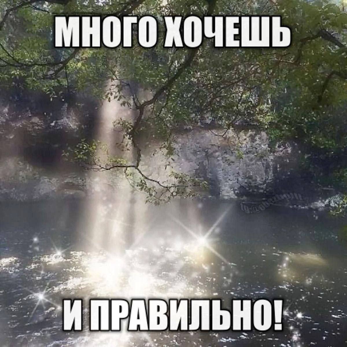 Утром тортик и на работу — plohorosh · Стрекоза