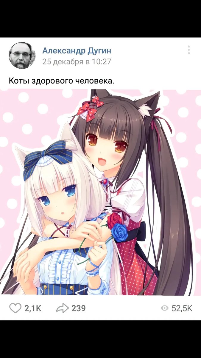 Шарик со всего угарает Как добиться такого же успеха? — Oklahoma_Mixer · Стрекоза