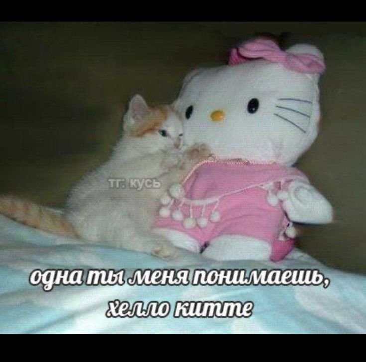 Я уже ниче в этой жизни не понимаю ок да — DeltaDi · Стрекоза