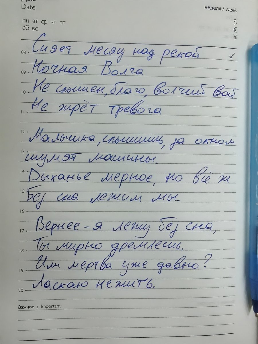 ДАВАЙ БЛЯТЬ СЫН МЁРТВОЙ ШЛЮХИ. — MaplePecan · Стрекоза