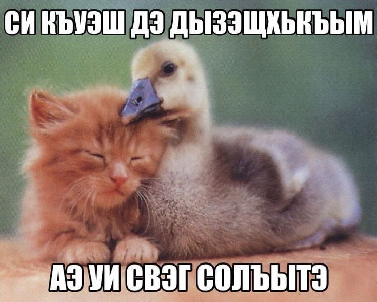 так, надо дописать посты — XxX__Anal-Dominator228__XxX · Стрекоза