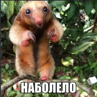 по тихой грусти иду домой — VladFUCKEr · Стрекоза