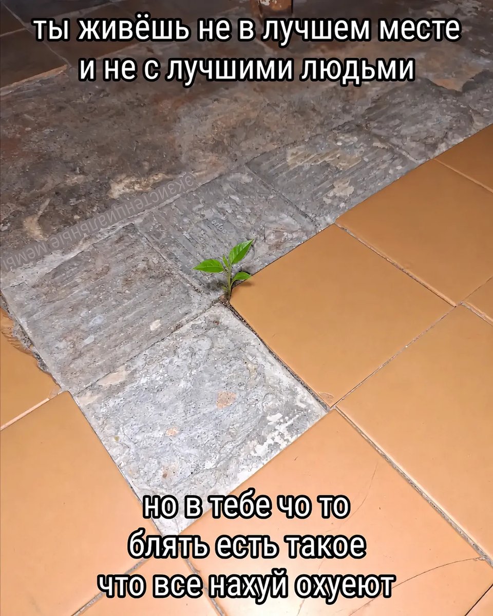 Ладно, раз всем нравится моя нарезка детей, то буду резать дальше — Oklahoma_Mixer · Стрекоза