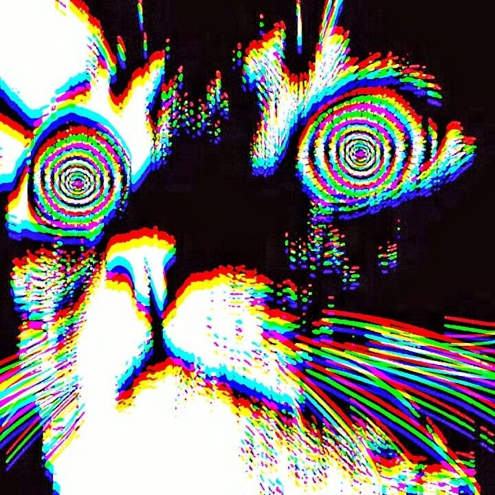 Музька хоть и напоминает мне о плохом времени, но она в то плохое вре… — DeltaDi · Стрекоза