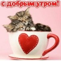 всем добрейшева утра ! — MinecraftSuperProHacker2011 · Стрекоза