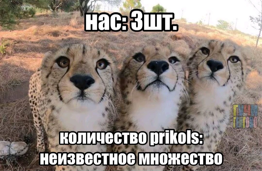 Всем доброе уиро. Сегодня никуда не еду лень. А еще горло болит — provod · Стрекоза