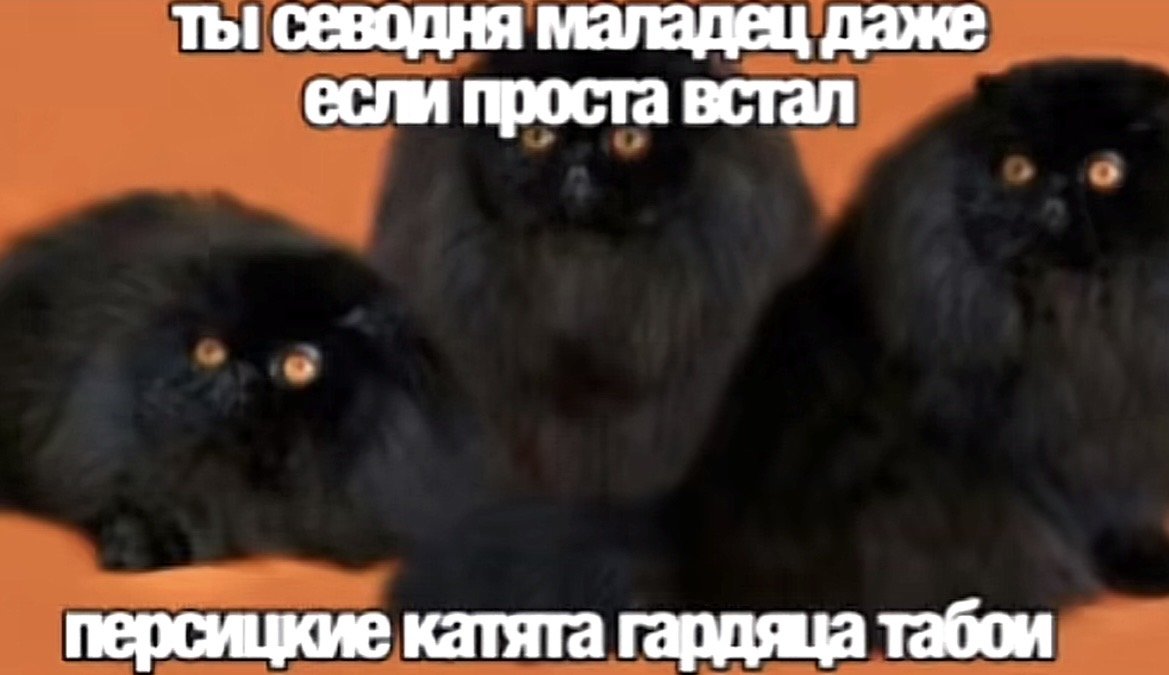 осталось совсем чуть-чуть и спать спать спать — immemorial_silence · Стрекоза
